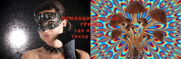 синтетический гашиш Алексин