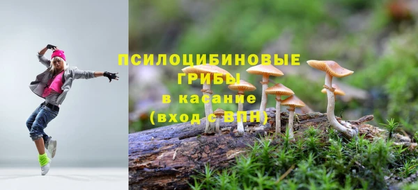 синтетический гашиш Алексин