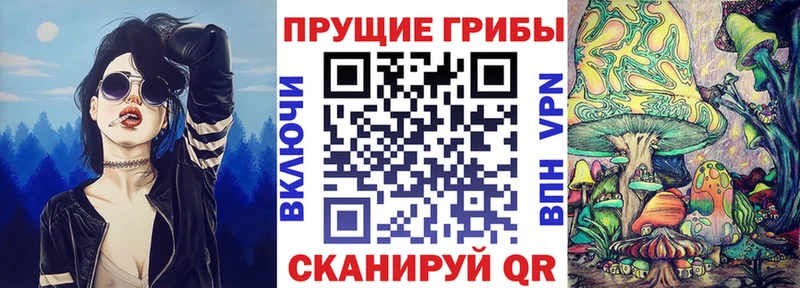 ссылка на мегу как войти  Ивангород  Псилоцибиновые грибы мицелий  наркошоп 